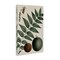 Stupell Industries Vintage Walnut & Leaf Canvas Wall Art Design by Graffi*tee Studios